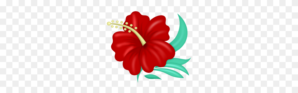 Model Resimler, Flower, Hibiscus, Plant Free Transparent Png