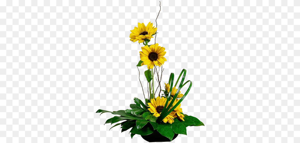 Modern And Tropical Flowers Flowerpot, Flower, Flower Arrangement, Flower Bouquet, Plant Png Image