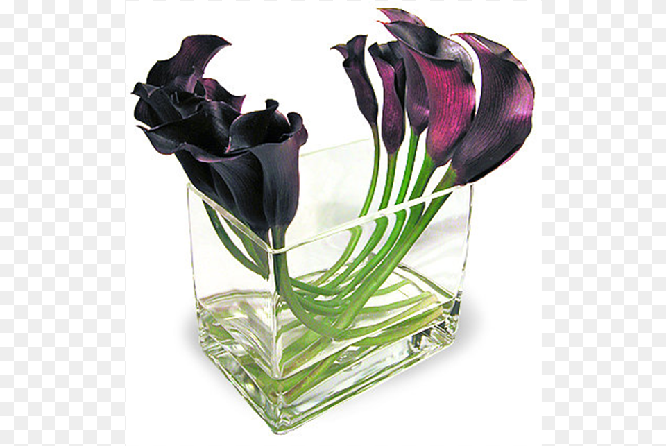 Modern Calla Lily Arrangements, Vase, Pottery, Flower, Flower Arrangement Png Image