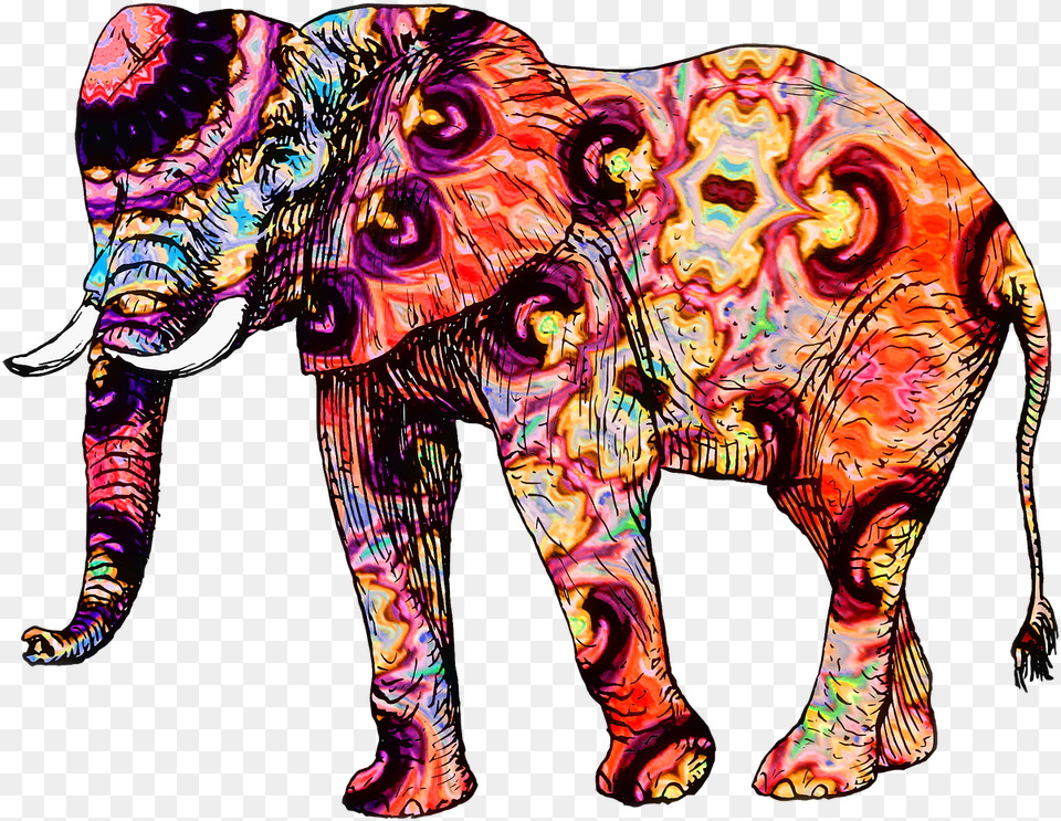 Modern Elephant Cross Stitch, Adult, Person, Woman, Female Free Transparent Png