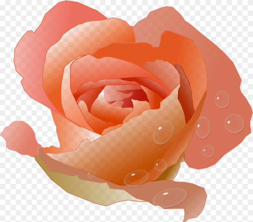 Modern Floral Clipart Coral Rose Clip Art, Flower, Plant, Petal, Baby Free Png Download