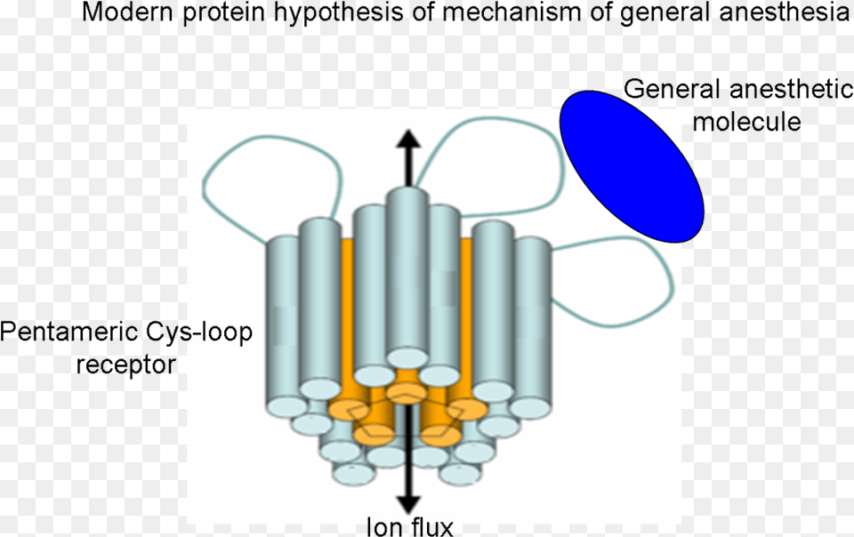 Modern Mechanism Of General Anesthesia, Dynamite, Weapon Free Png