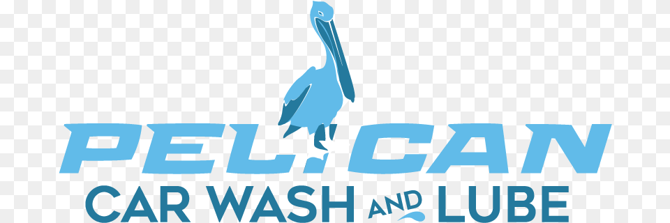 Modern Professional Logo Design For Pelican Car Wash And Graphic Design, Animal, Bird, Waterfowl, Person Free Png