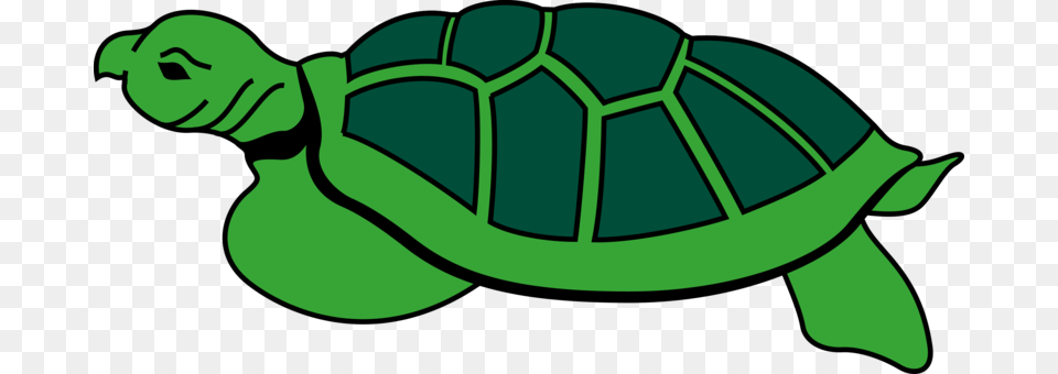 Modern Sea Turtles Reptile Art Painted Turtle, Animal, Sea Life, Tortoise Png