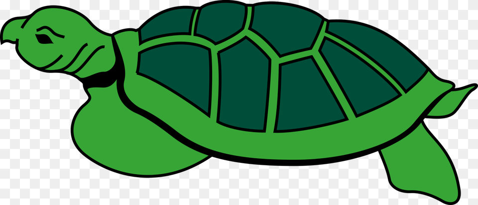 Modern Sea Turtles Reptile Tortoise Caretta, Animal, Sea Life, Turtle Free Png Download
