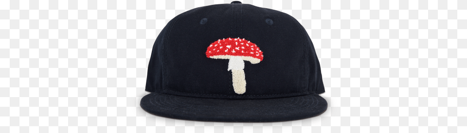 Modest Mouse Ambsn Mushroom Hat Modest Mouse Mushroom Hats, Baseball Cap, Cap, Clothing, Plant Free Png