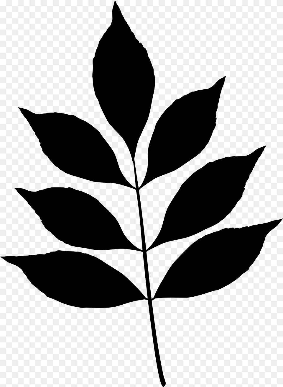Modesto Ash Leaf Silhouette, Green, Plant, Animal, Cat Free Transparent Png