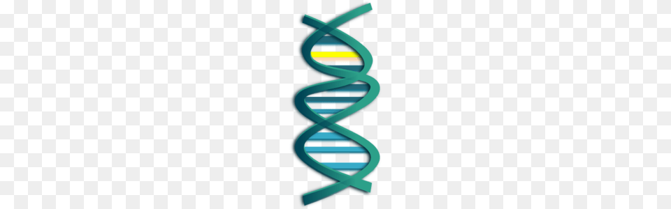 Modified Dna Clip Art, Coil, Light, Spiral, Blade Free Png Download