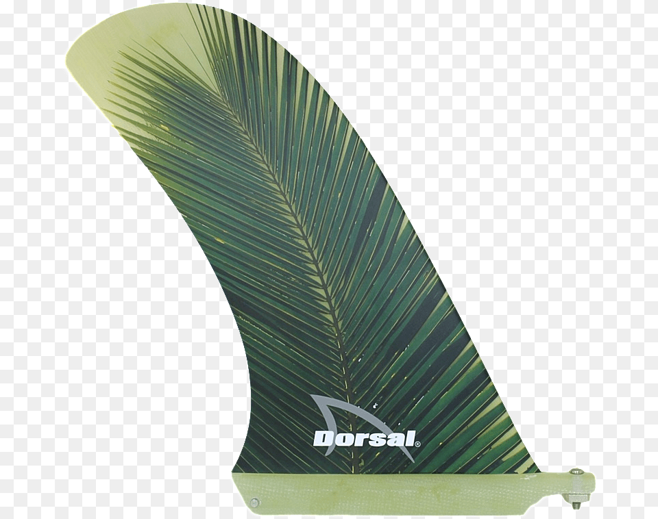Modified Hatchet Pivot Fiberglass Longboard Surfboard Windsurfing, Leaf, Sea Waves, Sea, Plant Png Image