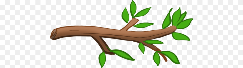 Module 1 Lesson 1 Freeuse Stock Stem Of A Plant Clipart, Leaf, Tree, Herbal, Herbs Png Image