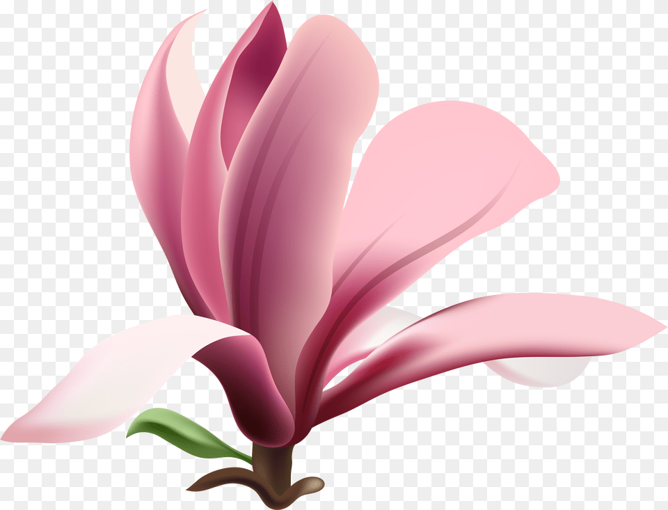 Mogra Flower Free Png Download