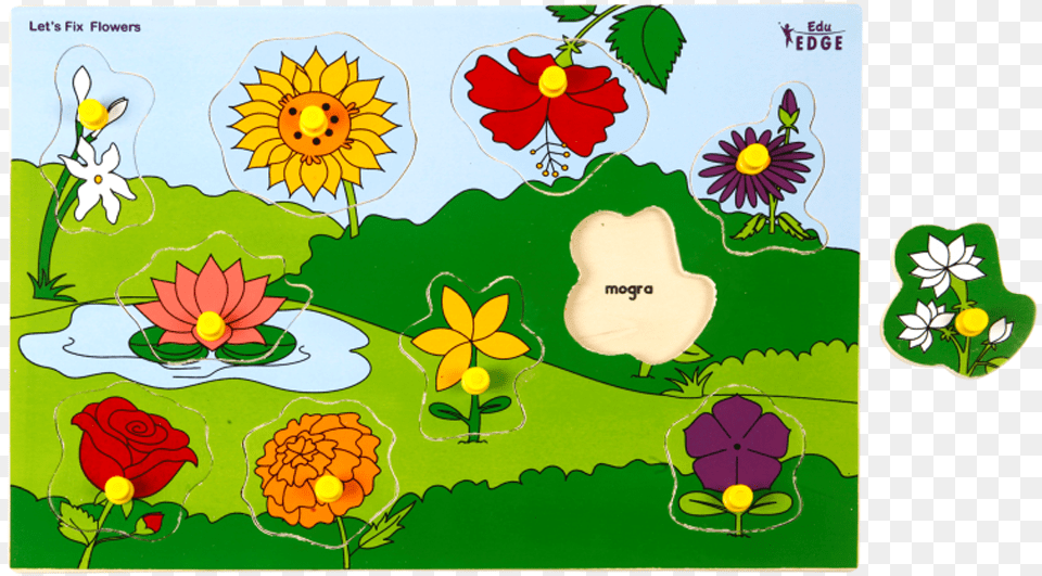 Mogra Flower Sunflower, Plant, Art, Graphics, Daisy Png