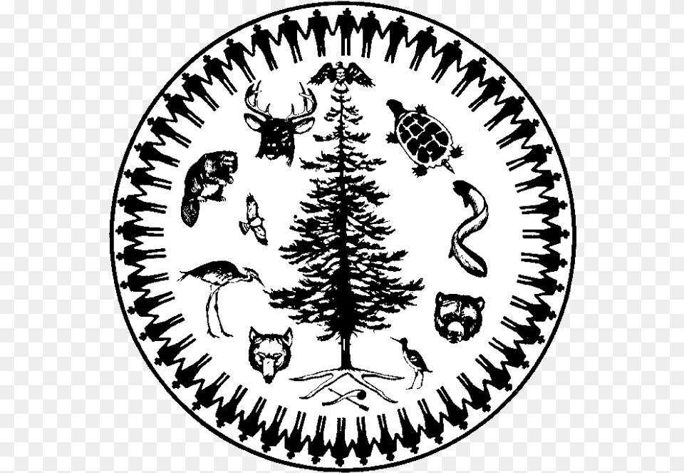 Mohawk Nation Council Of Chiefs Haudenosaunee Symbols, Animal, Turtle, Sea Life, Reptile Png Image