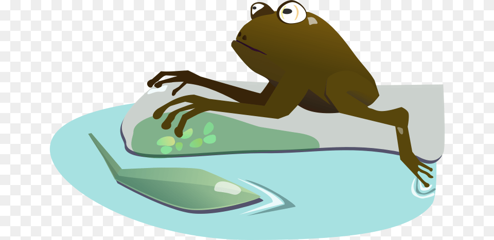 Moist True Frog, Animal, Wildlife, Water, Fish Png Image