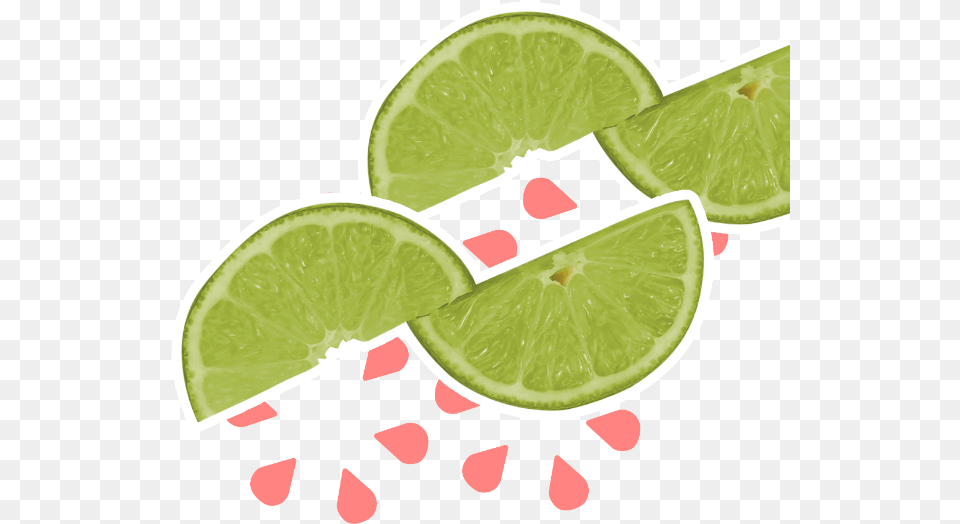 Mojito, Citrus Fruit, Food, Fruit, Lime Free Transparent Png