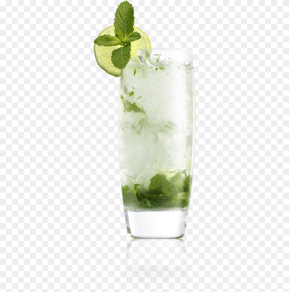 Mojito, Alcohol, Beverage, Cocktail, Herbs Free Transparent Png