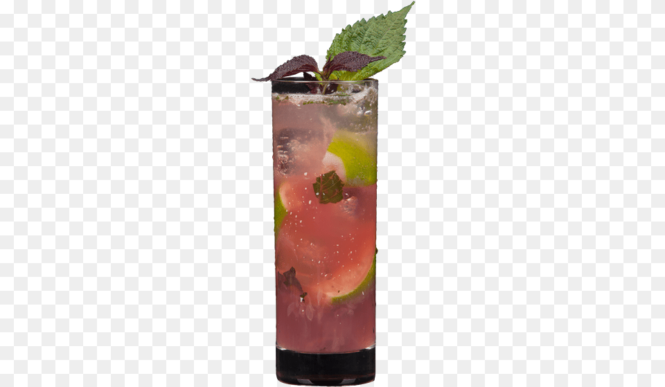 Mojito, Alcohol, Beverage, Cocktail, Herbs Free Png Download