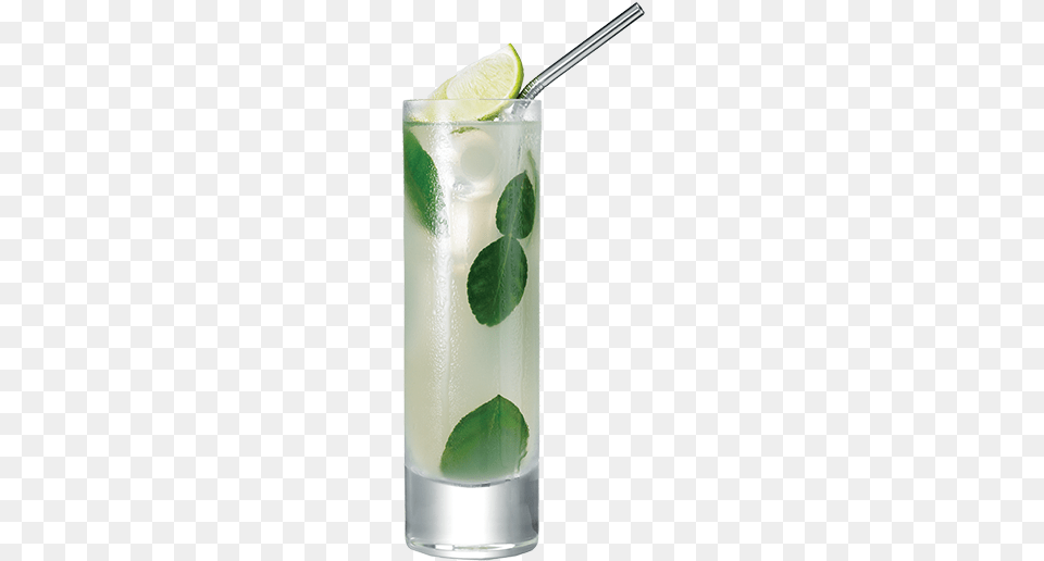 Mojito, Alcohol, Beverage, Cocktail, Plant Png