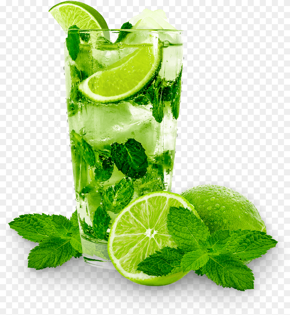 Mojito, Alcohol, Plant, Mint, Herbs Free Png