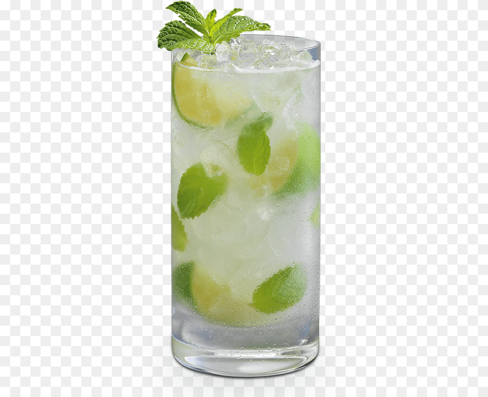 Mojito Bacardi Mojito Cocktail, Alcohol, Beverage, Herbs, Plant Png Image