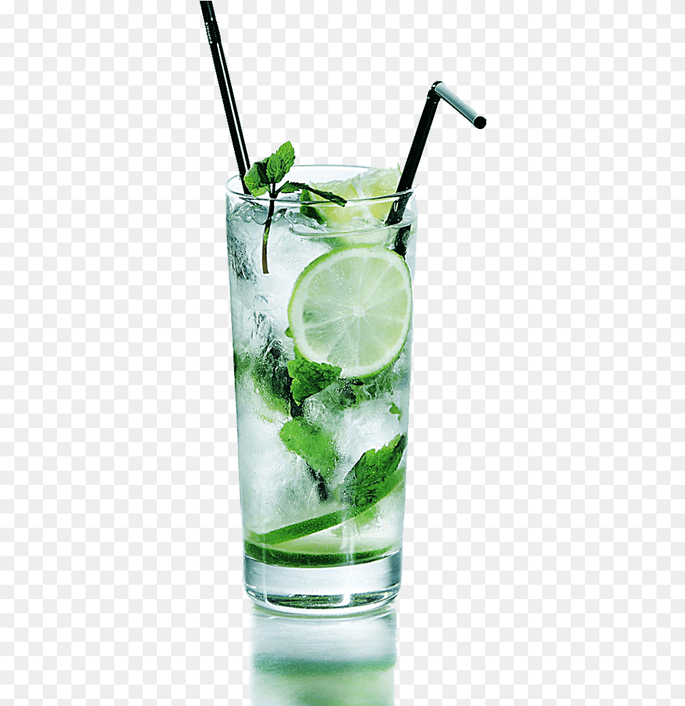 Mojito Cocktail, Alcohol, Plant, Herbs, Beverage Png Image
