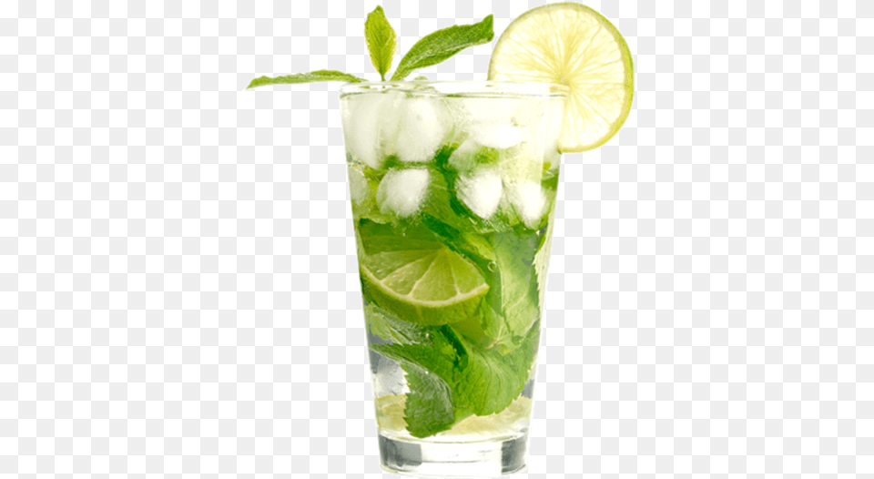 Mojito Cocktail, Alcohol, Beverage, Plant, Herbs Png Image