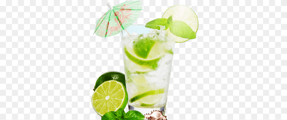 Mojito Coconut Water And Lime, Alcohol, Plant, Herbs, Fruit Free Png Download