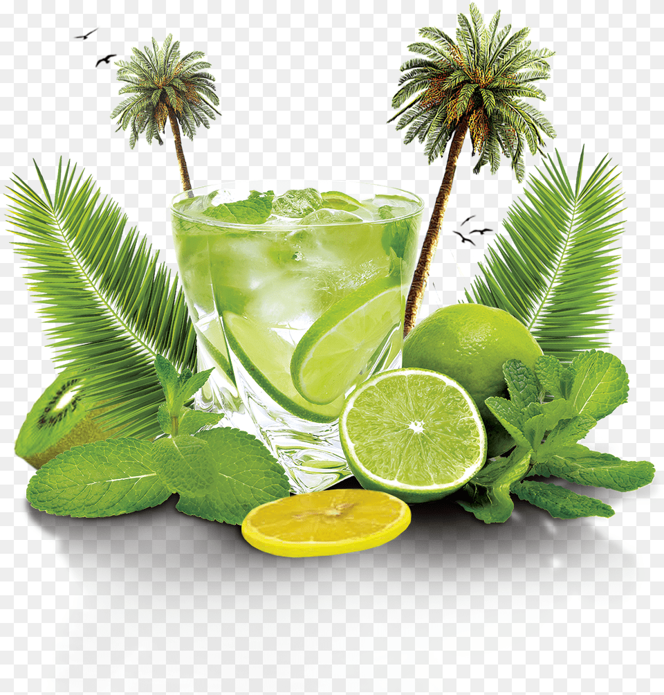 Mojito Flyer, Alcohol, Plant, Lime, Fruit Png Image