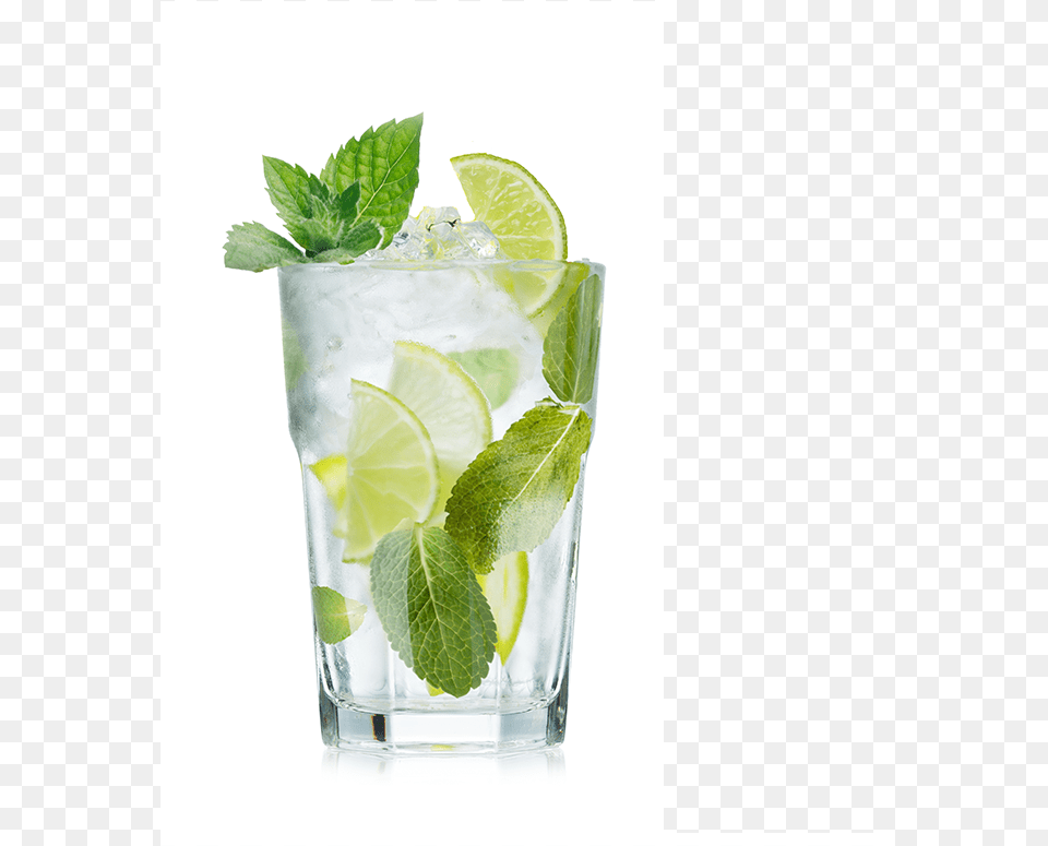 Mojito Mojito Cocktail Transparent, Alcohol, Beverage, Plant, Mint Free Png Download