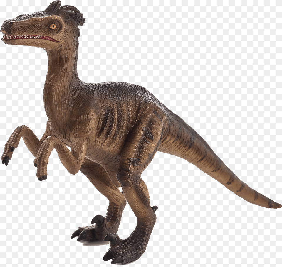 Mojo Animal Velociraptor, Gray Free Png