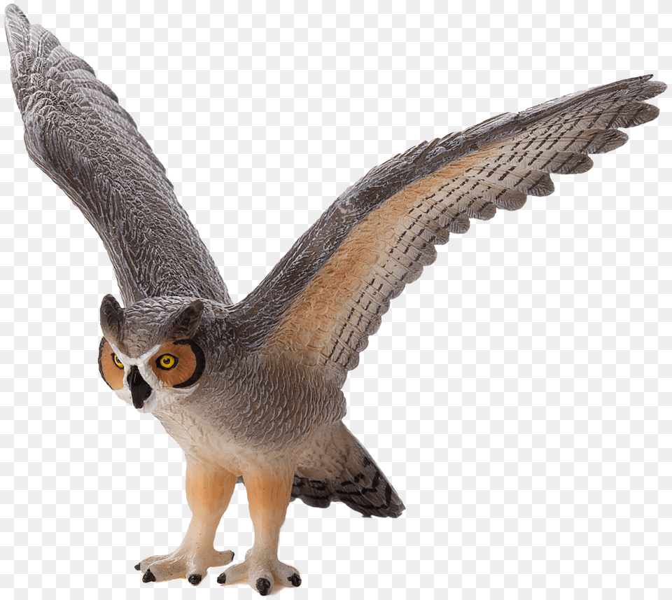 Mojo Fun 2019, Animal, Beak, Bird, Owl Png