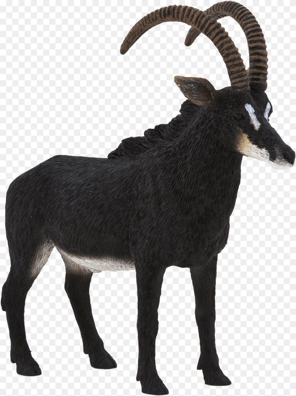 Mojo Giant Sable Antelope, Animal, Mammal, Wildlife, Gazelle Free Png