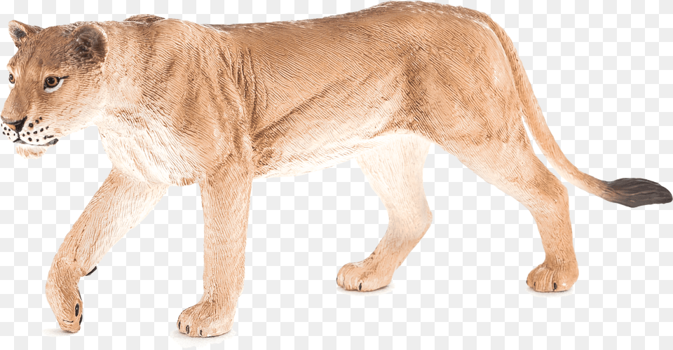 Mojo Lion Cub Toy, Animal, Mammal, Wildlife Free Transparent Png