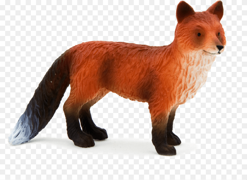 Mojo Red Fox, Animal, Bear, Mammal, Wildlife Png