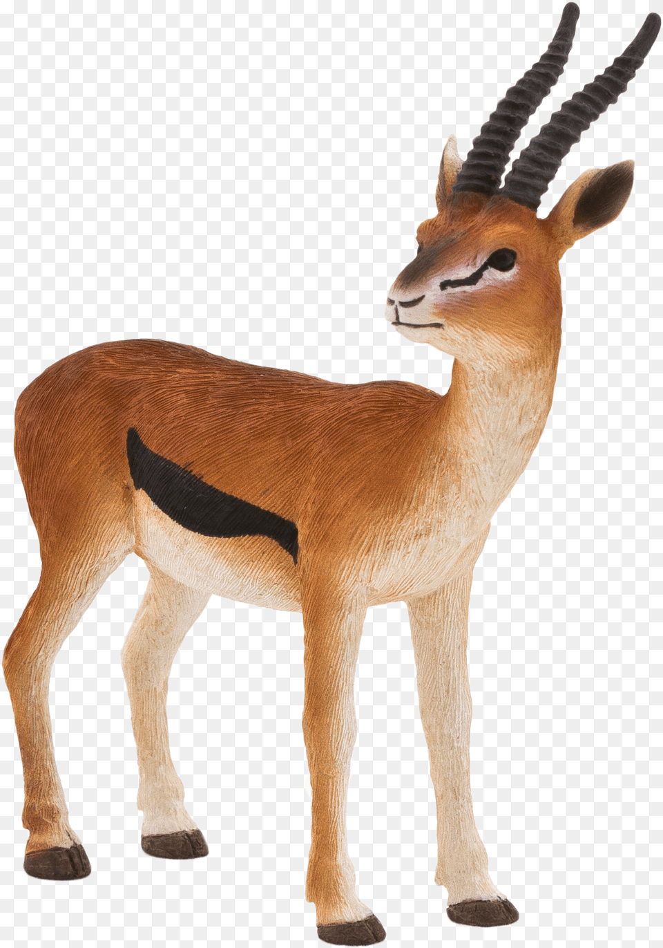 Mojo Thomson Gazelle Mojo Thomsons Gazelle Fun Gazelle Toy, Animal, Antelope, Mammal, Wildlife Free Png