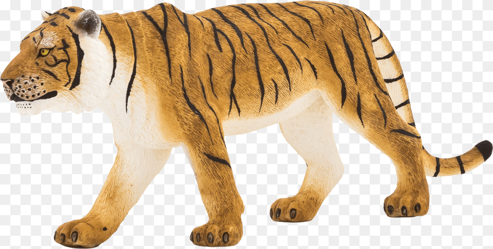 Mojo Tiger, Animal, Mammal, Wildlife Png Image