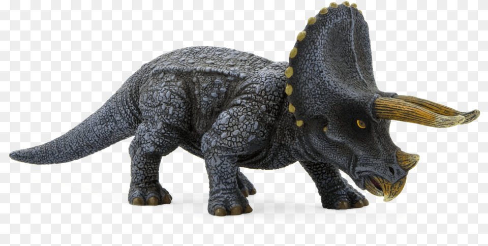 Mojo Triceratops, Animal, Dinosaur, Reptile Free Png Download