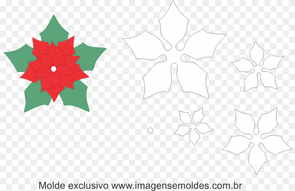 Molde Flor De Natal, Leaf, Plant, Symbol Png