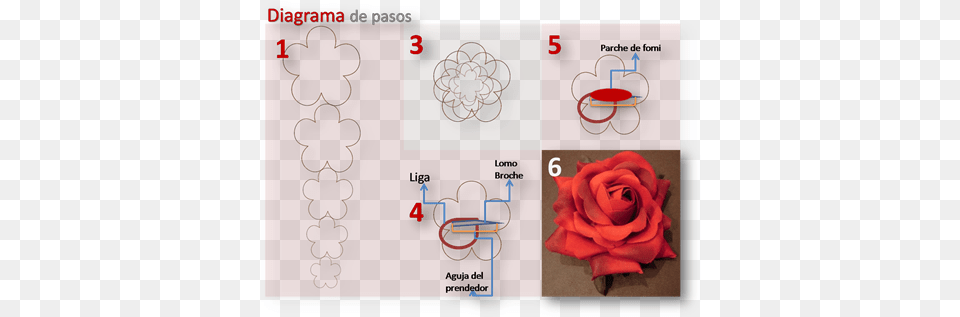 Moldes De Ptalos De Rosas En Foami Imagui Moldes Rosas En Foamy, Flower, Plant, Rose Free Transparent Png