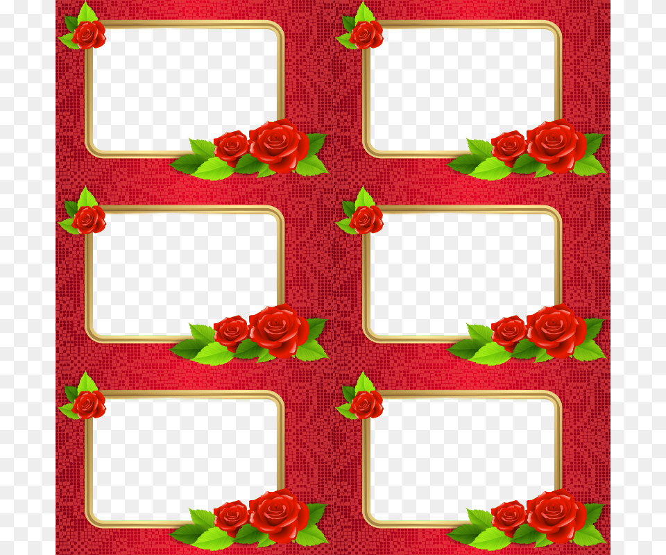 Moldura Diversas Marcos Para Varias Fotos Love, Flower, Plant, Rose, Pattern Free Png Download