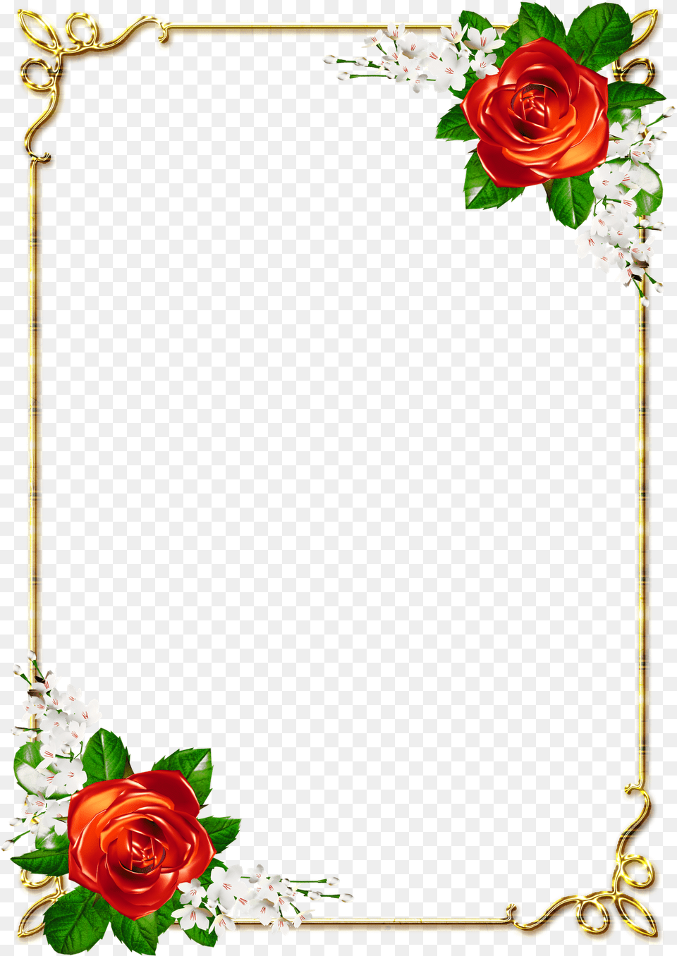 Moldura Dourada Arabescos, Flower, Plant, Rose, Flower Arrangement Free Png Download