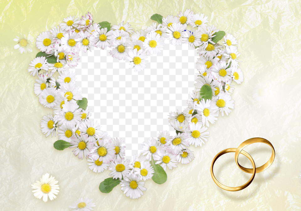 Moldura Para Fotos De Casamento Moldura Para Foto De Casamento, Daisy, Flower, Plant, Accessories Free Png Download