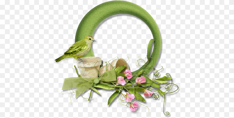 Moldura Redonda Com Passarinho Verde Mscara Para Science Good Morning, Flower, Flower Arrangement, Plant, Animal Png Image