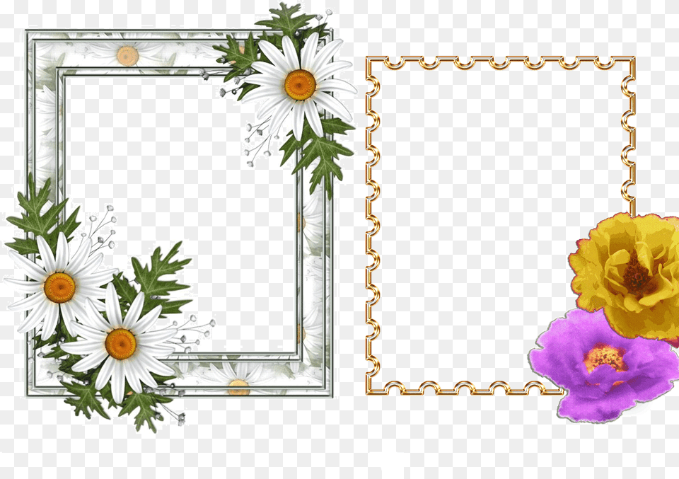 Molduras Borboletas E Flores Lilas Real Madrid Flower, Daisy, Plant, Art, Collage Free Transparent Png