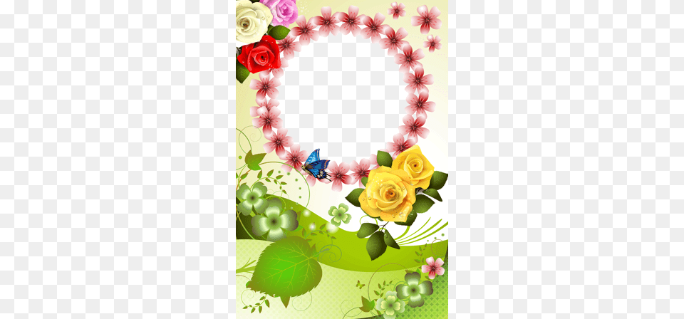 Molduras Fotos Rosas, Art, Plant, Pattern, Rose Free Png