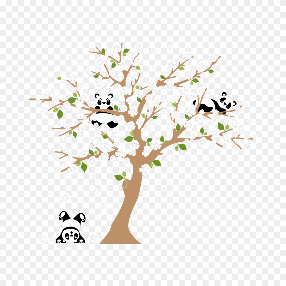 Molduras Infantis Adesivo De Parede Panda, Art, Plant, Graphics, Tree Free Png