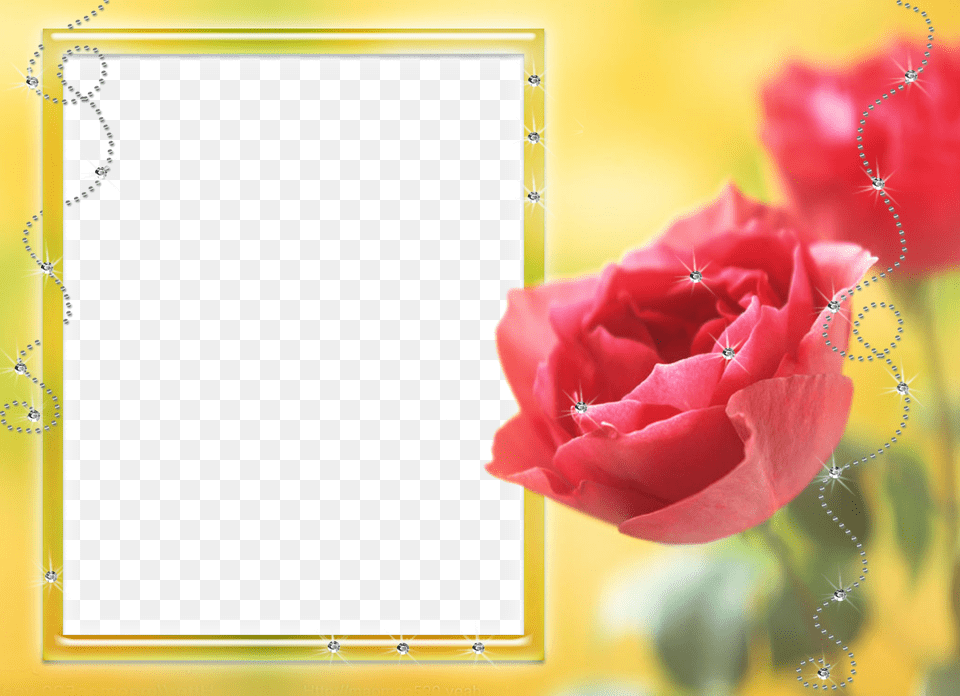 Molduras Para Fotos De Amor Molduras Lindas Para Montagem, Flower, Petal, Plant, Rose Png