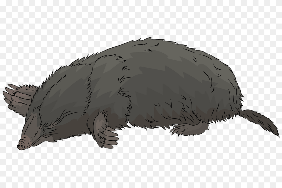 Mole Clipart, Animal, Mammal, Fish, Sea Life Free Png