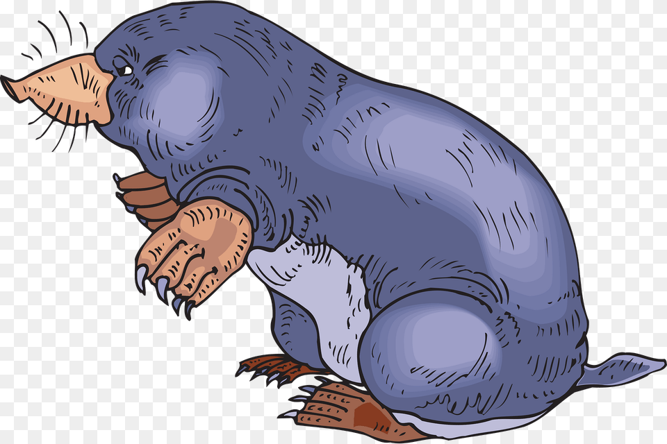 Mole Clipart, Animal, Mammal, Fish, Sea Life Free Png Download