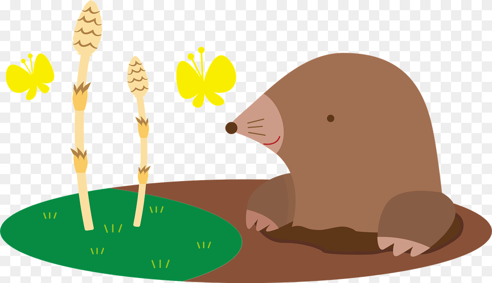 Mole Looking, Animal, Mammal, Fish, Sea Life Png Image